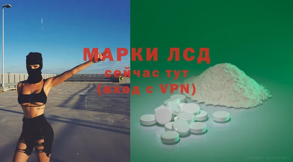 гидра Алзамай