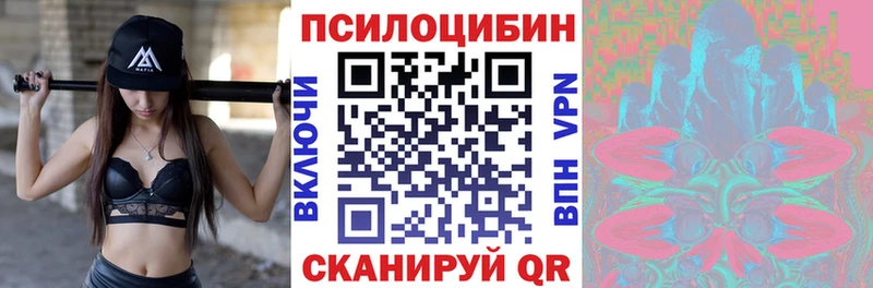цена Белово Псилоцибиновые грибы Magic Shrooms