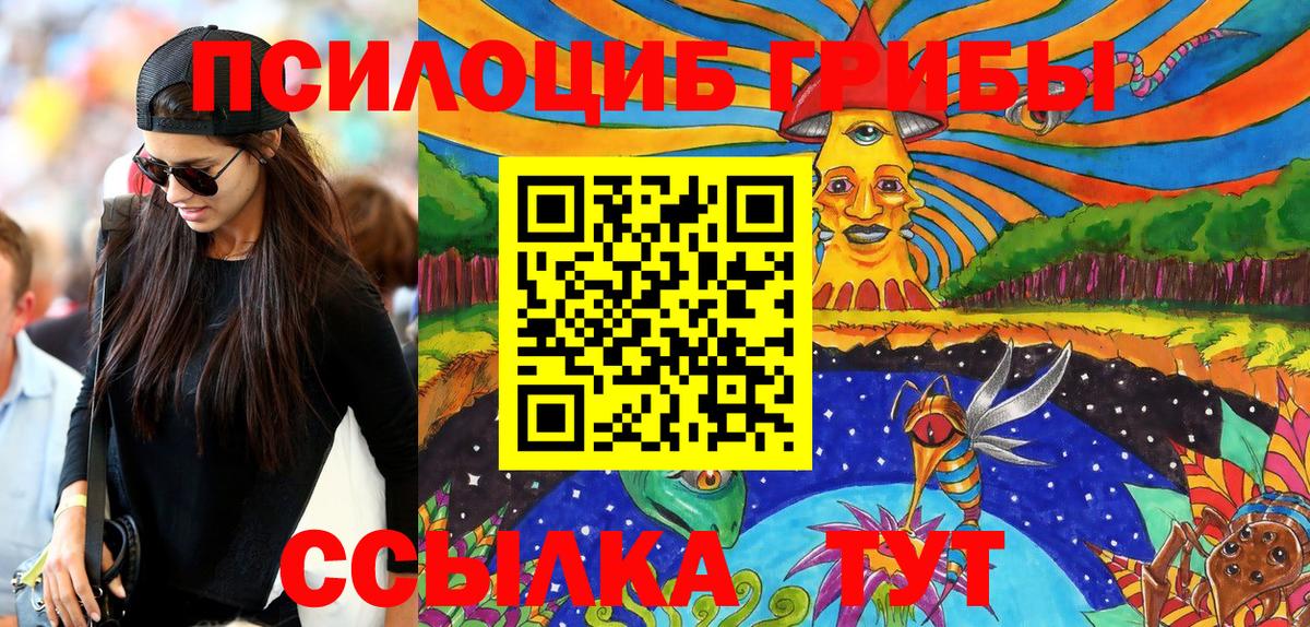 Псилоцибиновые грибы мицелий  Вход с VPN  Белово  Псилоцибиновые грибы GOLDEN TEACHER 